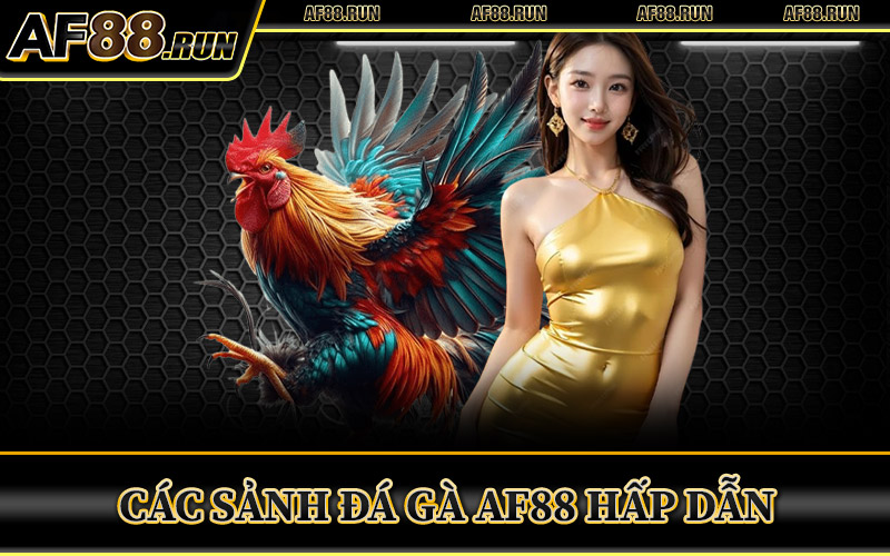 Đá Gà AF88 – Đấu Trường Đỉnh Cao Thưởng To Sau Mỗi Trận 2 Các Sảnh Đá Gà AF88 Hấp Dẫn