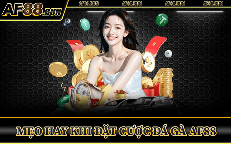 Đá Gà AF88 – Đấu Trường Đỉnh Cao Thưởng To Sau Mỗi Trận 3 Mẹo Hay Khi Đặt Cược Đá Gà AF88